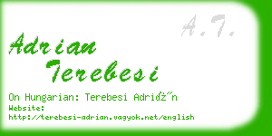 adrian terebesi business card